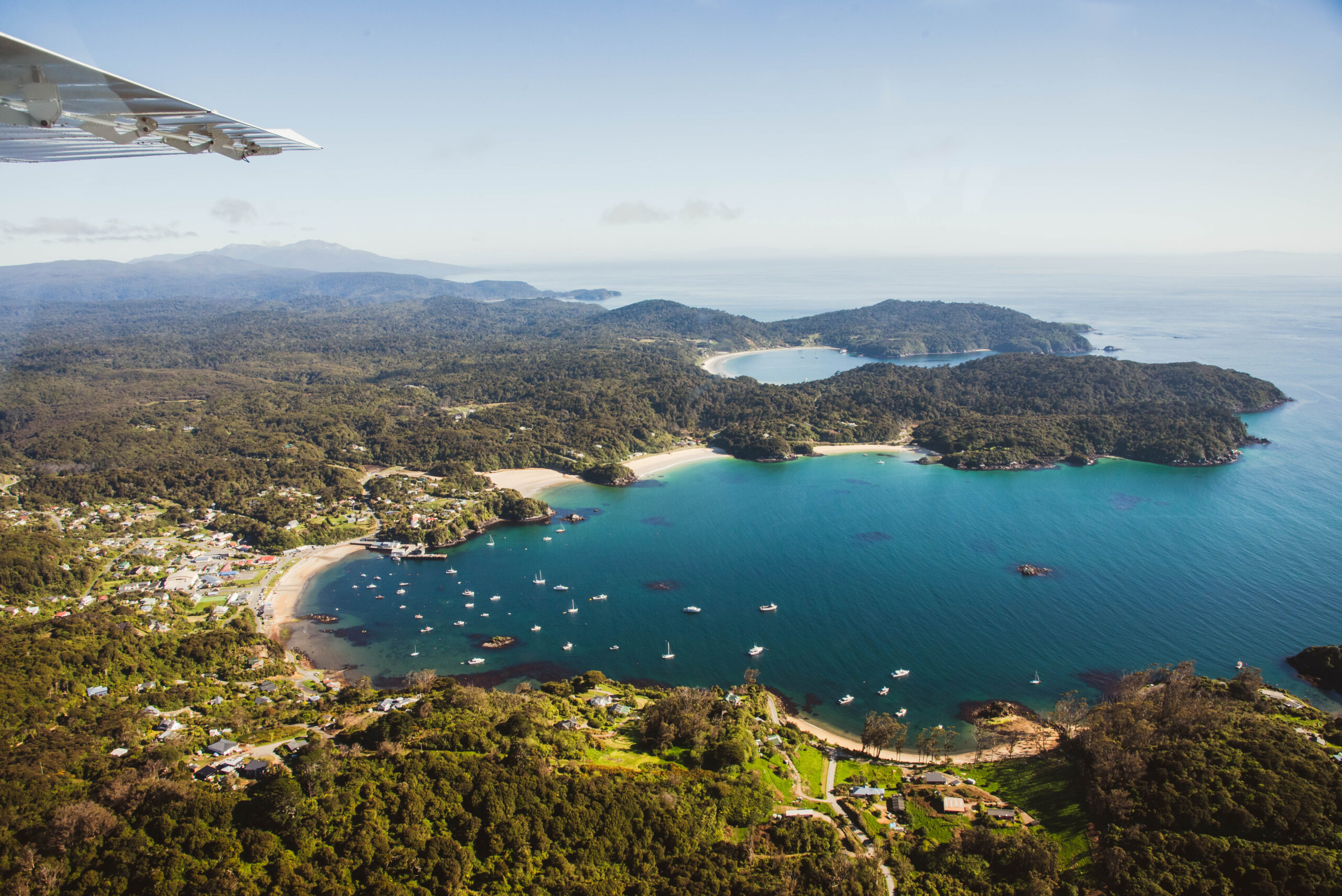 Queenstown to Stewart Island: A Tranquil Escape to New Zealand's Southern Sanctuary