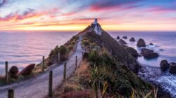 Dunedin to Queenstown: A Scenic Journey Through New Zealand's South Island